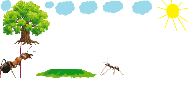 ամենա ուժեղ մրջյունը